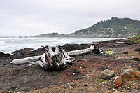 Beach in Yachats.jpg