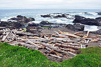 Beach near Yachats.jpg