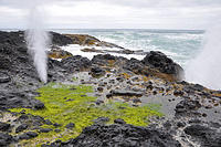 Blowhole on the OR coast.jpg