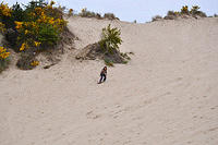 Charlotte riding the hill at Honeyman SP .jpg