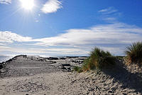 The Florence North Jetty .jpg