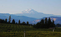 Mt Adams volcano, WA.jpg