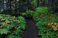 A very beautiful trail around the lake.jpg