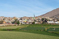 Fields and houses