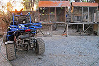 Rooster, birds, and a dune buggy