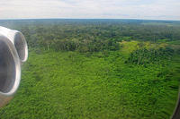 Flying out of the green Amazon Jungle.jpg