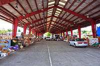 Drive through part of the farmers market.jpg