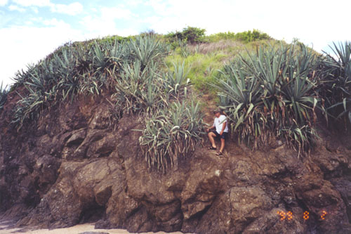 Costa_Rica_Beaches19.jpg